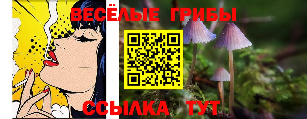 Галлюциногенные грибы Psilocybine cubensis Наро-Фоминск